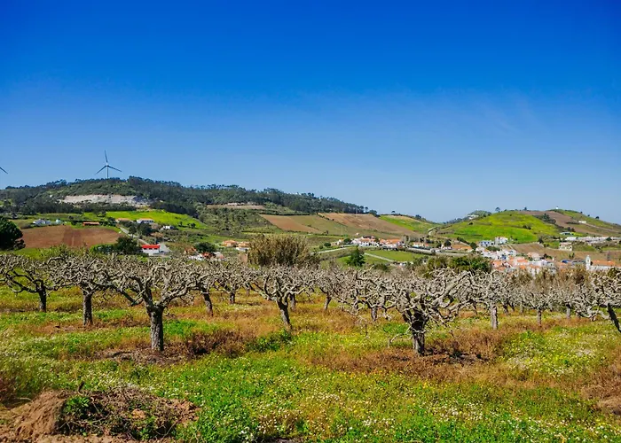 Apartment Portuguese Village - Casa Martins No.54 Freiria
